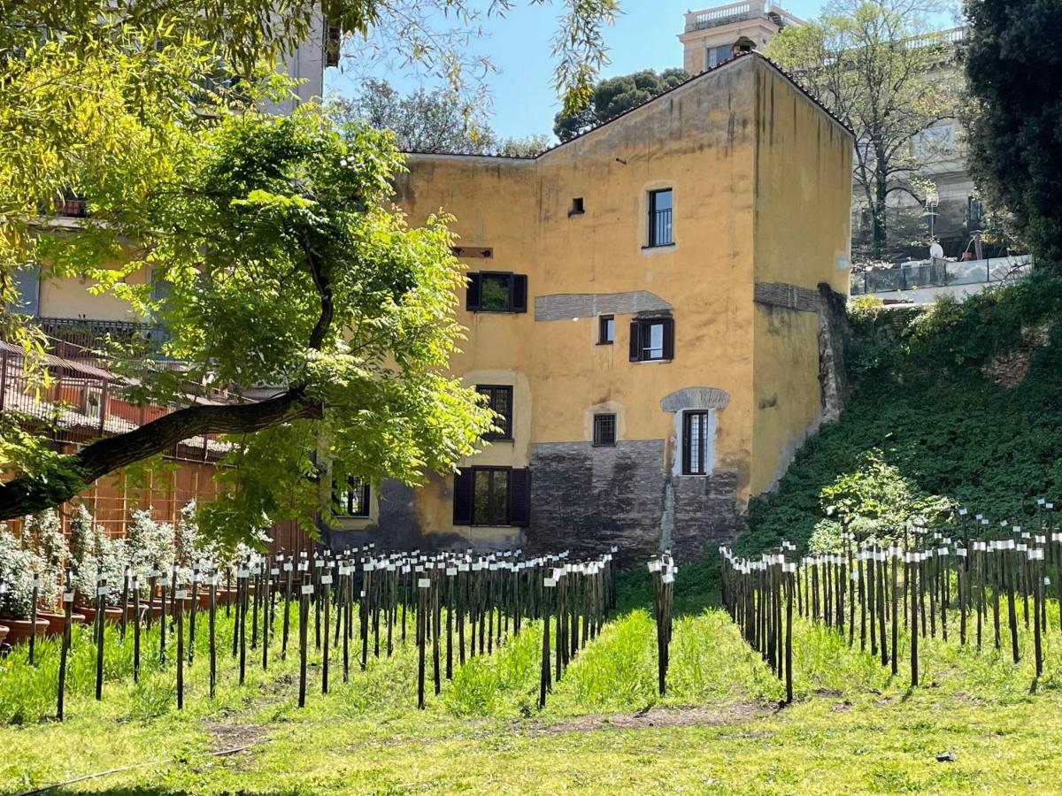 Il Mulino Di Trastevere - My Extra Home Рим Екстер'єр фото
