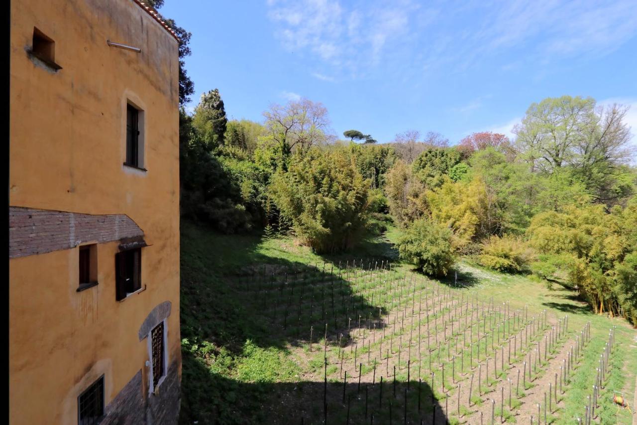 Il Mulino Di Trastevere - My Extra Home Рим Екстер'єр фото